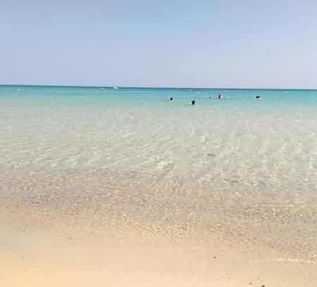 Le Lagon De Hammamet Exteriör bild