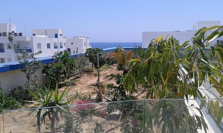 Le Lagon De Hammamet Rum bild