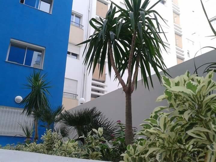 Le Lagon De Hammamet Rum bild