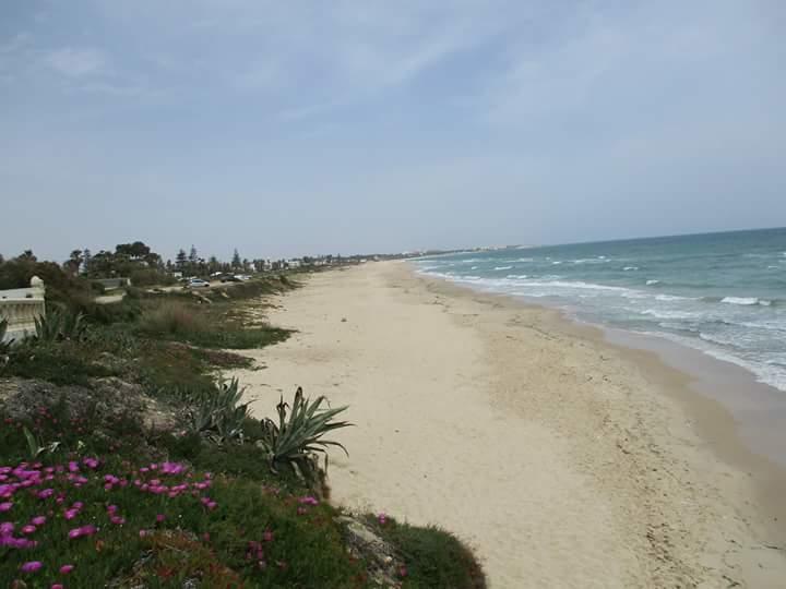 Le Lagon De Hammamet Exteriör bild